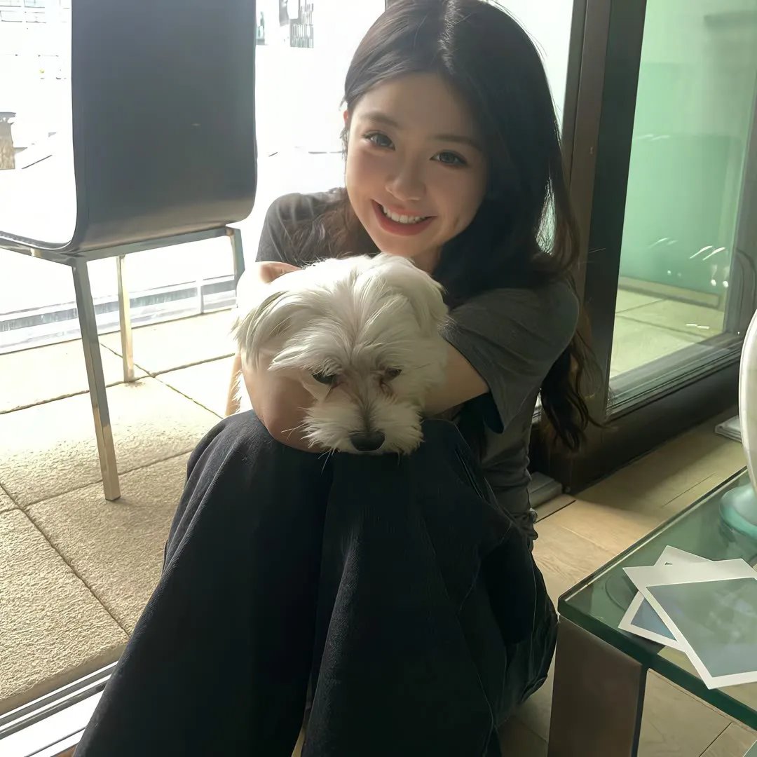 疯狂的兔子